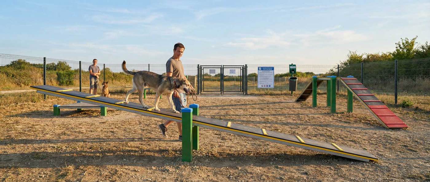 Chiens et maîtres sur une balançoire d'agility Herkules au coucher du soleil