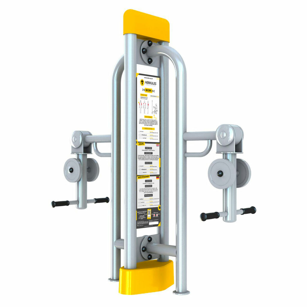 equipment for working the biceps, adapted for seniors and persons with reduced mobility.